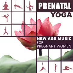 Prenatal Meditation Song Lyrics