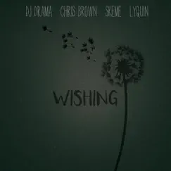 Wishing (feat. Chris Brown, Skeme & Lyquin) Song Lyrics