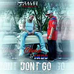 Don’t Go (feat. Indo) - Single by Chinese album reviews, ratings, credits