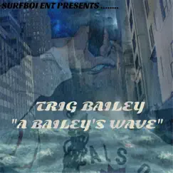 A Bailey's Wave - Single by Trig Bailey album reviews, ratings, credits
