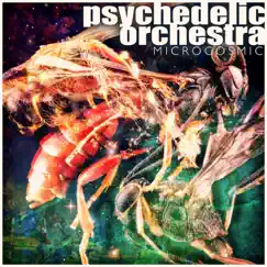 Microcosmic - EP by Psychedelic Orchestra album reviews, ratings, credits