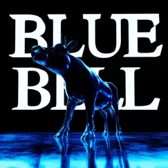 Blue Bell (feat. Noah Marshall) Song Lyrics