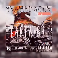 Lastwish by Mr daone album reviews, ratings, credits