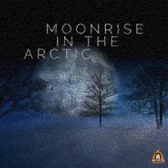 Moonrise in the Arctic (feat. David Downing & Eric Tang) - Single by Burnt Mellow album reviews, ratings, credits