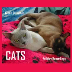 Cats (Two Acoustic Guitars) Song Lyrics
