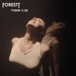 Tiger Song Lyrics