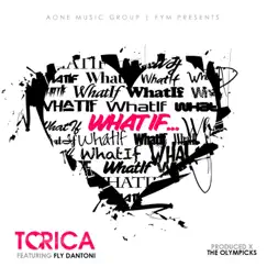 What If (feat. Fly Dantoni) - Single by Torica album reviews, ratings, credits