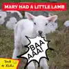 Mary had a Little Lamb (DnB 4 Kidz) - Single album lyrics, reviews, download