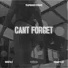 Cant Forget (feat. Tommy Flee) - Single album lyrics, reviews, download