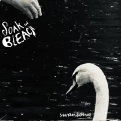 Swansong - EP by Soak in Bleach album reviews, ratings, credits