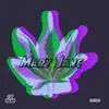 Mary Jane - Single (feat. Dtown Ice) - Single album lyrics, reviews, download