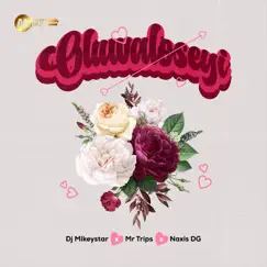 Oluwaloseyi - Single (feat. Naxis DG & Trips) - Single by DjMikeyStar album reviews, ratings, credits