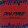 ON FIRE (feat. Ortaq) - Single album lyrics, reviews, download