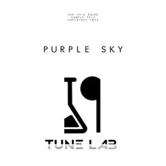 Purple Sky (Instrumental) Song Lyrics