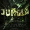 Jungla (feat. Fab) - Single album lyrics, reviews, download