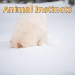 Animal Instincts Song Lyrics