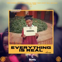 Everything Is Real by Denesi album reviews, ratings, credits