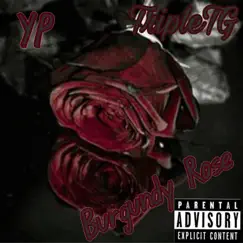 - BurgundyRose - by YP TripleTG album reviews, ratings, credits