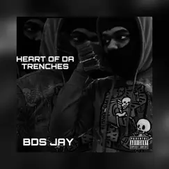 Born Star - Single by B.D.S Jay album reviews, ratings, credits