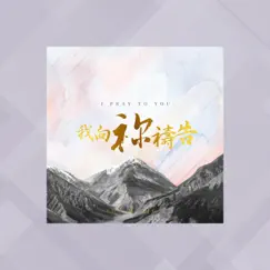 我向祢禱告 (feat. Brenda Li) - Single by Son Music album reviews, ratings, credits