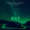 Njalo (feat. Ab Central & Boyzin Bee) - Single album lyrics, reviews, download