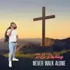 Never Walk Alone - Single album lyrics, reviews, download