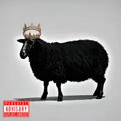 Blakc Sheep - Single by HOOD BRATT album reviews, ratings, credits