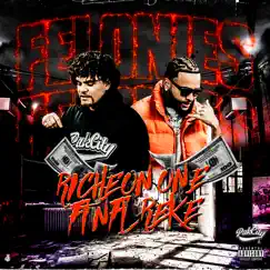Felonies (feat. NFL Reke) - Single by Riche Onone album reviews, ratings, credits