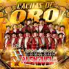 Cachas de Oro - Single album lyrics, reviews, download