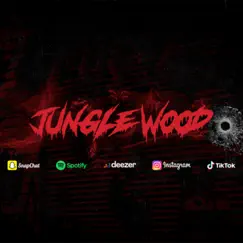 AFRO WARS - Single by Jungle Wood album reviews, ratings, credits