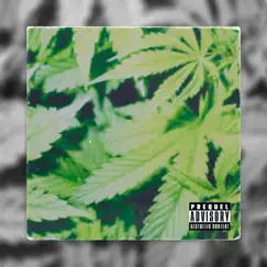 Make It Turn Green - Single (feat. SLK Vante) - Single by Mid Range Jay album reviews, ratings, credits