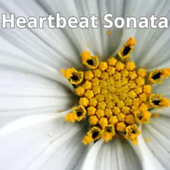 Heartbeat Sonata Song Lyrics