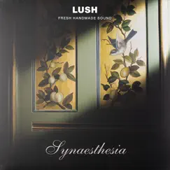 Synaesthesia by Lush Fresh Handmade Sound album reviews, ratings, credits