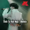 TÌNH TA HAI NGÃ (REMIX) - Single album lyrics, reviews, download