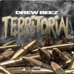 Territorial - Single by Drew Beez album reviews, ratings, credits