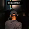 Tribesoul (Sgidongo Mix) - Single album lyrics, reviews, download