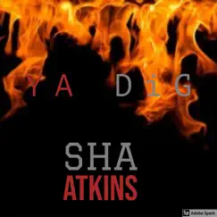 Ya DiG - Single by Meiko Atkins album reviews, ratings, credits