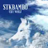 Cry Wolf (feat. STKBAMBO) song lyrics