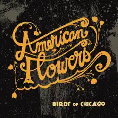 American Flowers by Birds of Chicago, Allison Russell & JT Nero album reviews, ratings, credits