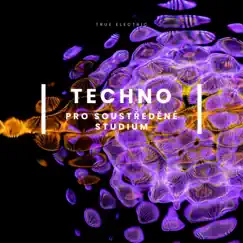 Techno pro Soustředěné Studium by Lorena Pasetti & True Electric album reviews, ratings, credits