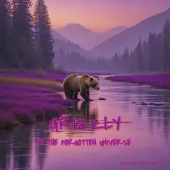 Grizzly in the Forgotten Universe by Oktawia Stan album reviews, ratings, credits