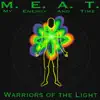 Warriors of the Light - Single album lyrics, reviews, download