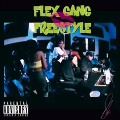 Flex Gang Freestyle - Single by SLM album reviews, ratings, credits
