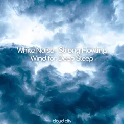 White Noise - Strong Howling Wind for Deep Sleep by Cloudcity album reviews, ratings, credits