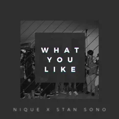 What You Like - Single by Nique album reviews, ratings, credits
