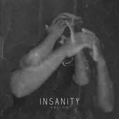 Insanity Song Lyrics