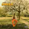 Shaba (feat. SANTO) - Single album lyrics, reviews, download