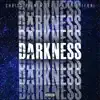 DARKNESS (feat. Chriss Palmer) - Single album lyrics, reviews, download