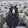 Black Sheep album lyrics, reviews, download