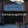 Guadalquivir - Single album lyrics, reviews, download